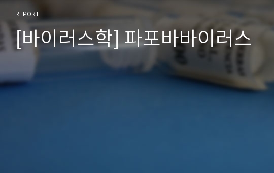 [바이러스학] 파포바바이러스