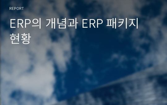 ERP의 개념과 ERP 패키지 현황