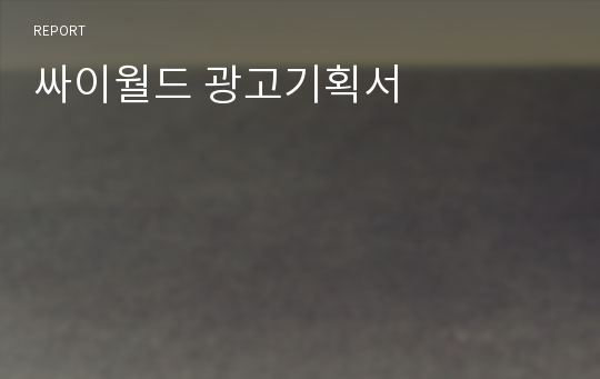 싸이월드 광고기획서