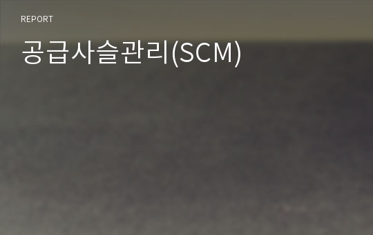 공급사슬관리(SCM)