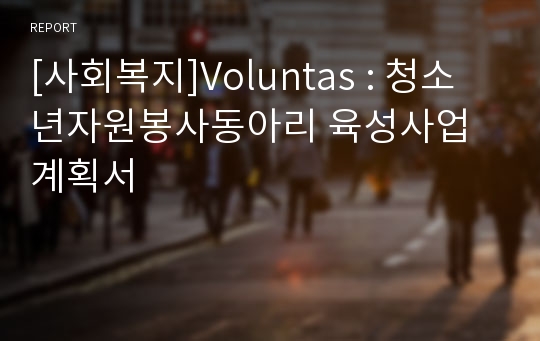 [사회복지]Voluntas : 청소년자원봉사동아리 육성사업 계획서