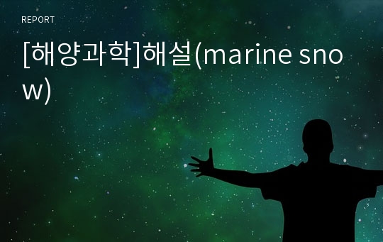 [해양과학]해설(marine snow)