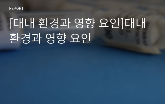 [태내 환경과 영향 요인]태내 환경과 영향 요인