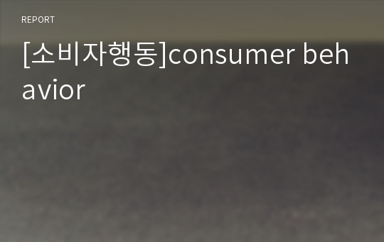 [소비자행동]consumer behavior