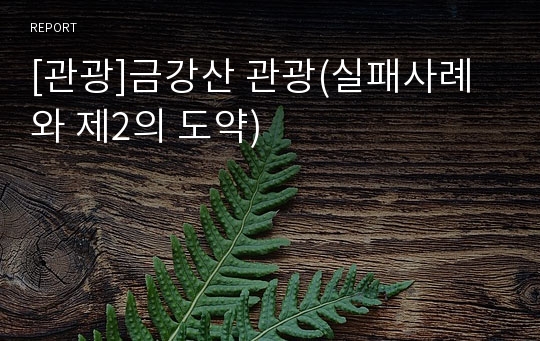 [관광]금강산 관광(실패사례와 제2의 도약)