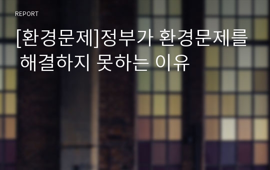 [환경문제]정부가 환경문제를 해결하지 못하는 이유