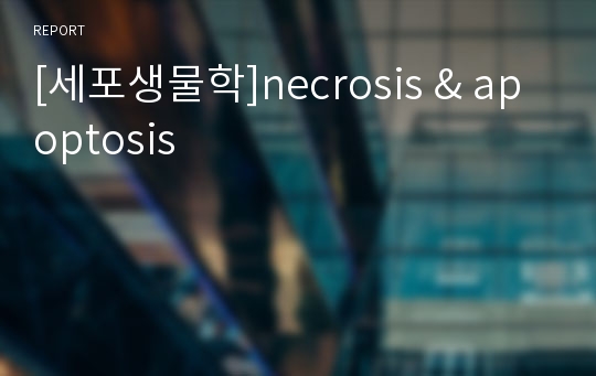 [세포생물학]necrosis &amp; apoptosis