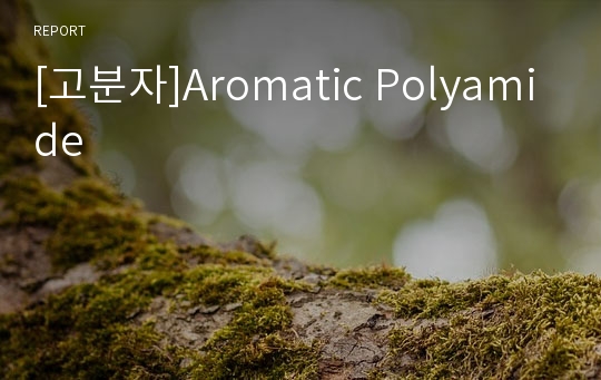 [고분자]Aromatic Polyamide