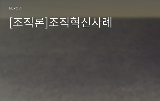 [조직론]조직혁신사례