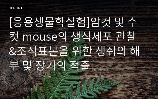 [응용생물학실험]암컷 및 수컷 mouse의 생식세포 관찰 &amp;조직표본을 위한 생쥐의 해부 및 장기의 적출