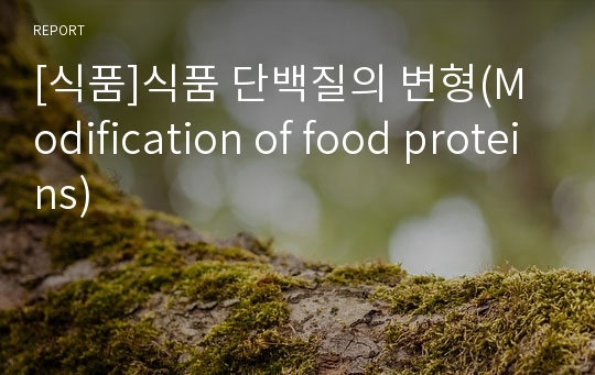 [식품]식품 단백질의 변형(Modification of food proteins)