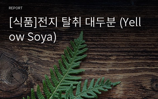 [식품]전지 탈취 대두분 (Yellow Soya)