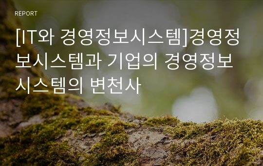 [IT와 경영정보시스템]경영정보시스템과 기업의 경영정보시스템의 변천사