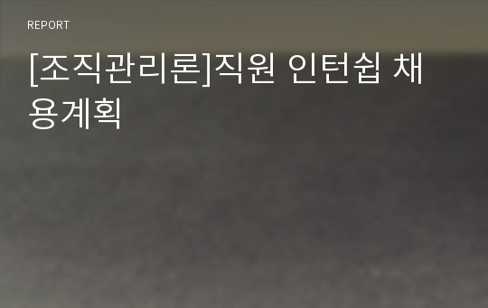 [조직관리론]직원 인턴쉽 채용계획