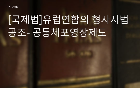 [국제법]유럽연합의 형사사법공조- 공통체포영장제도