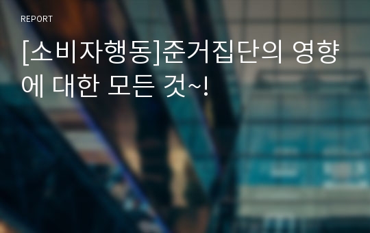 [소비자행동]준거집단의 영향에 대한 모든 것~!