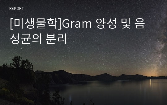 [미생물학]Gram 양성 및 음성균의 분리