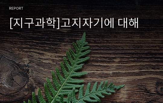 [지구과학]고지자기에 대해