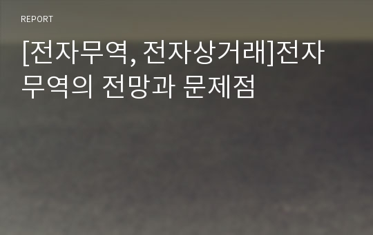 [전자무역, 전자상거래]전자무역의 전망과 문제점