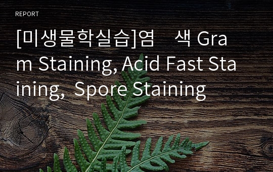 [미생물학실습]염    색 Gram Staining, Acid Fast Staining,  Spore Staining