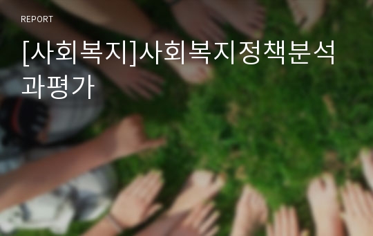 [사회복지]사회복지정책분석과평가