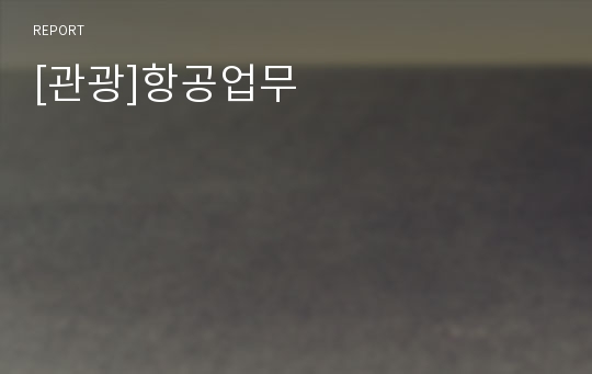 [관광]항공업무