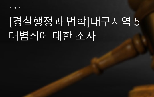 [경찰행정과 법학]대구지역 5대볌죄에 대한 조사