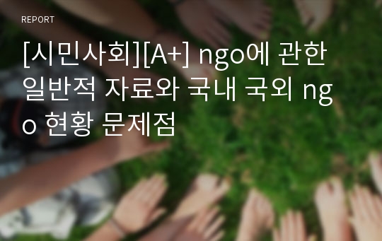 [시민사회][A+] ngo에 관한 일반적 자료와 국내 국외 ngo 현황 문제점