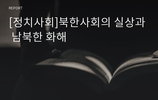 [정치사회]북한사회의 실상과 남북한 화해