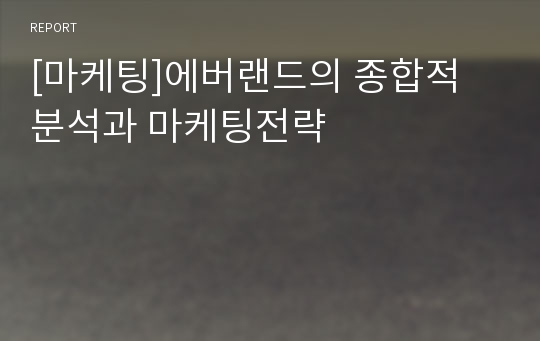 [마케팅]에버랜드의 종합적 분석과 마케팅전략