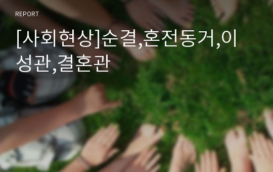 [사회현상]순결,혼전동거,이성관,결혼관