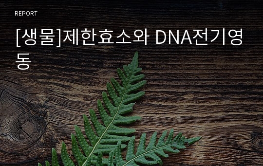 [생물]제한효소와 DNA전기영동