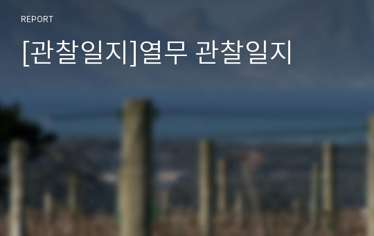 [관찰일지]열무 관찰일지