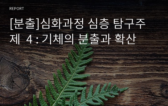 [분출]심화과정 심층 탐구주제  4 : 기체의 분출과 확산