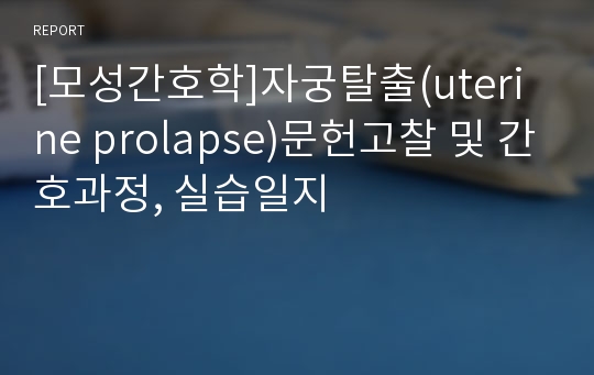 [모성간호학]자궁탈출(uterine prolapse)문헌고찰 및 간호과정, 실습일지