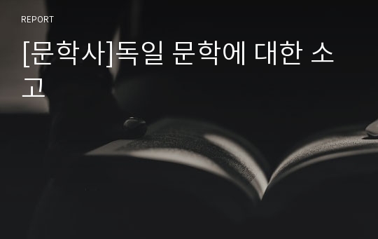 [문학사]독일 문학에 대한 소고