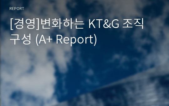 [경영]변화하는 KT&amp;G 조직 구성 (A+ Report)