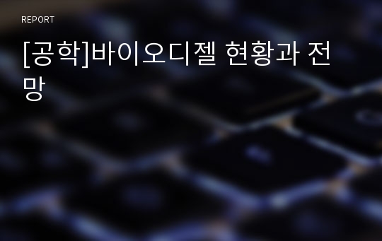 [공학]바이오디젤 현황과 전망