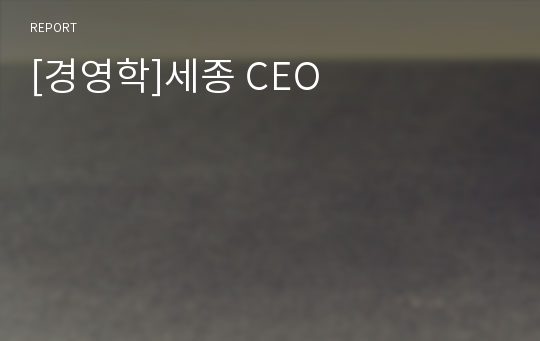 [경영학]세종 CEO