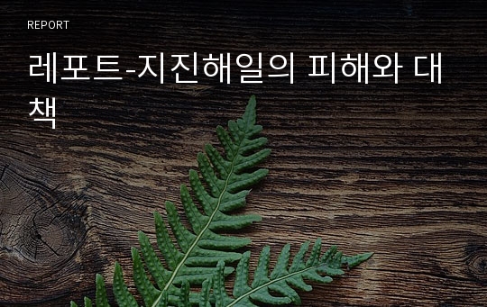 레포트-지진해일의 피해와 대책