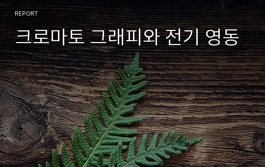 크로마토 그래피와 전기 영동