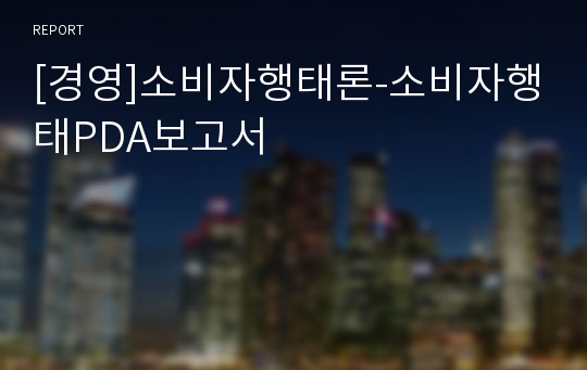 [경영]소비자행태론-소비자행태PDA보고서