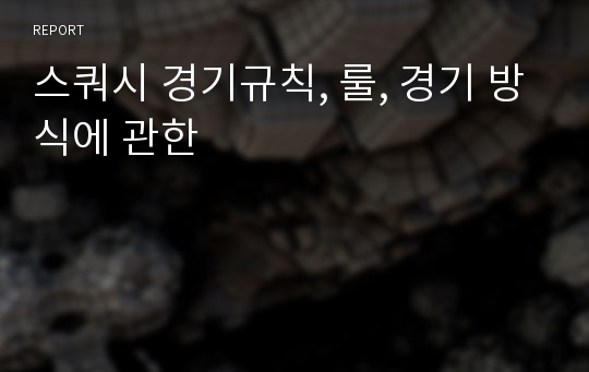 스쿼시 경기규칙, 룰, 경기 방식에 관한