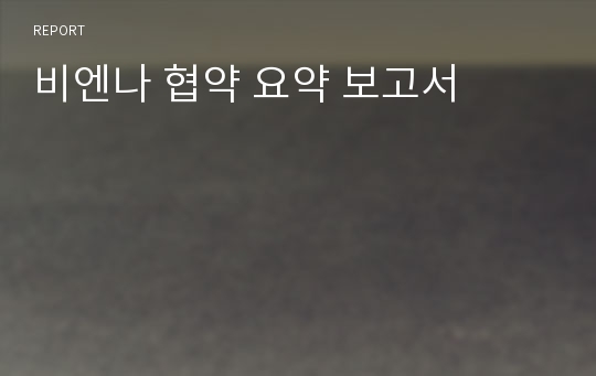 비엔나 협약 요약 보고서