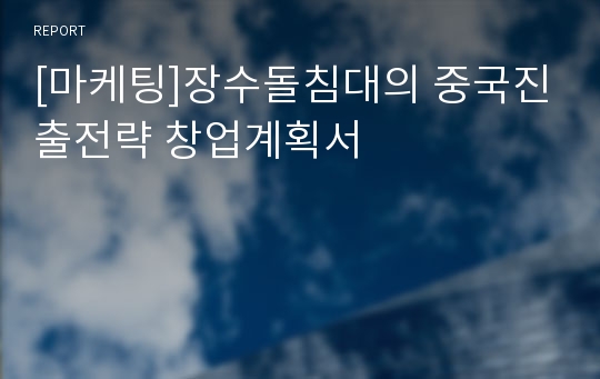 [마케팅]장수돌침대의 중국진출전략 창업계획서