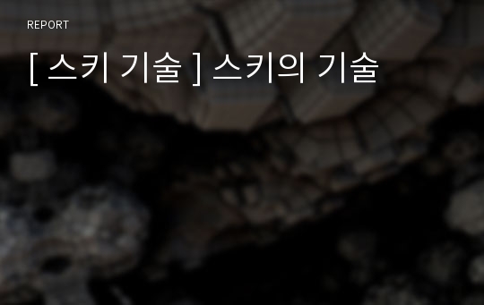 [ 스키 기술 ] 스키의 기술