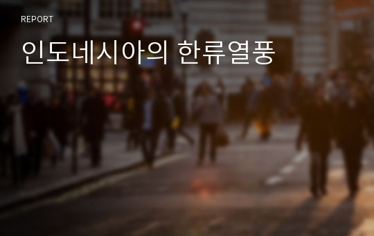 인도네시아의 한류열풍