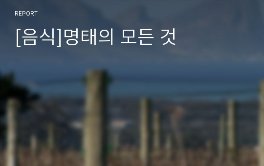 [음식]명태의 모든 것