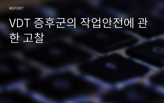 VDT 증후군의 작업안전에 관한 고찰