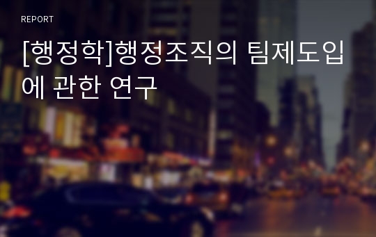 [행정학]행정조직의 팀제도입에 관한 연구